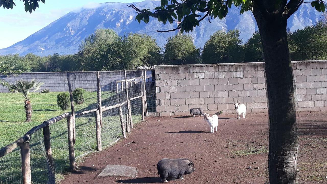 Agriturismo Carlo Cioffi Hotel Rotondi Bagian luar foto